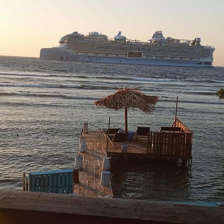 Victoria S Beach House And Snorkeling Center Flowers Bay エクステリア 写真