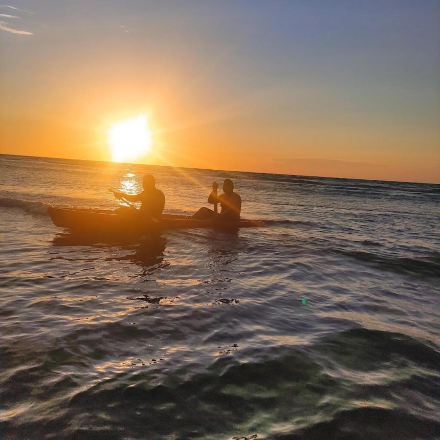 Victoria S Beach House And Snorkeling Center Flowers Bay エクステリア 写真