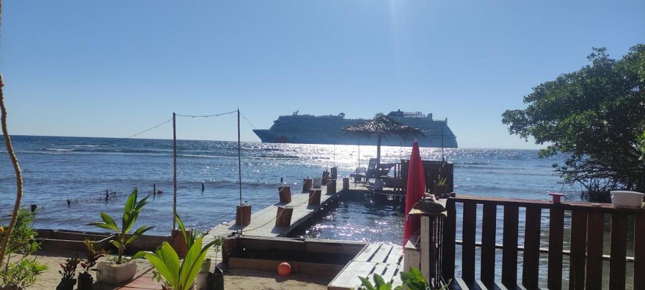 Victoria S Beach House And Snorkeling Center Flowers Bay エクステリア 写真