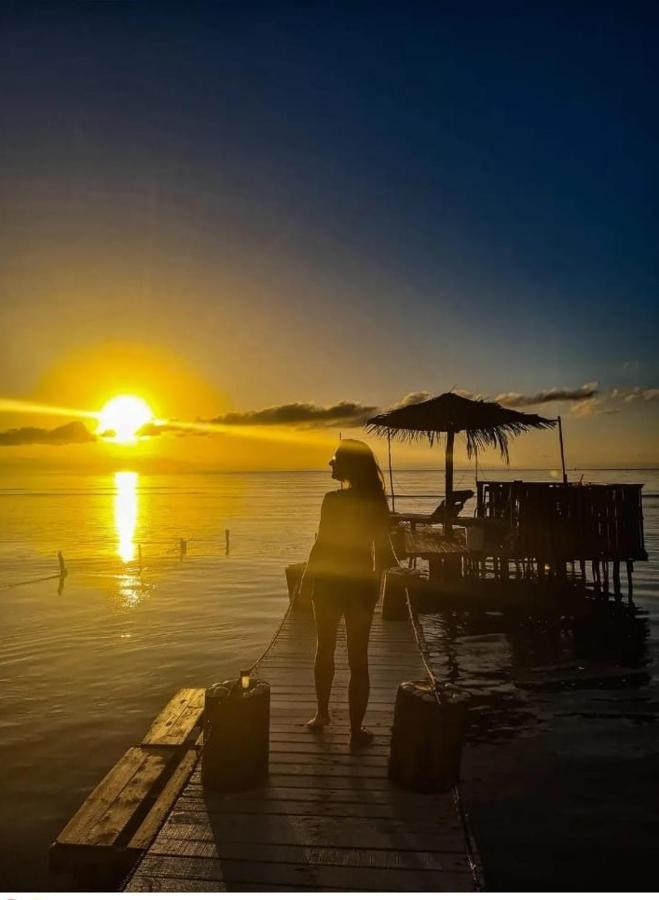 Victoria S Beach House And Snorkeling Center Flowers Bay エクステリア 写真