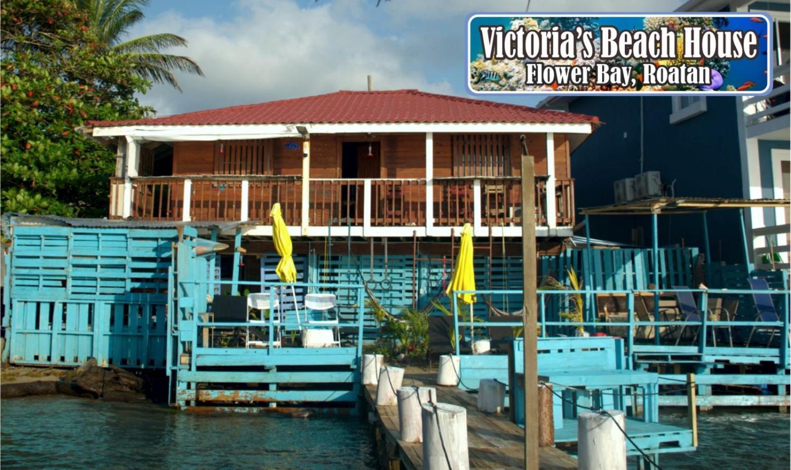 Victoria S Beach House And Snorkeling Center Flowers Bay エクステリア 写真